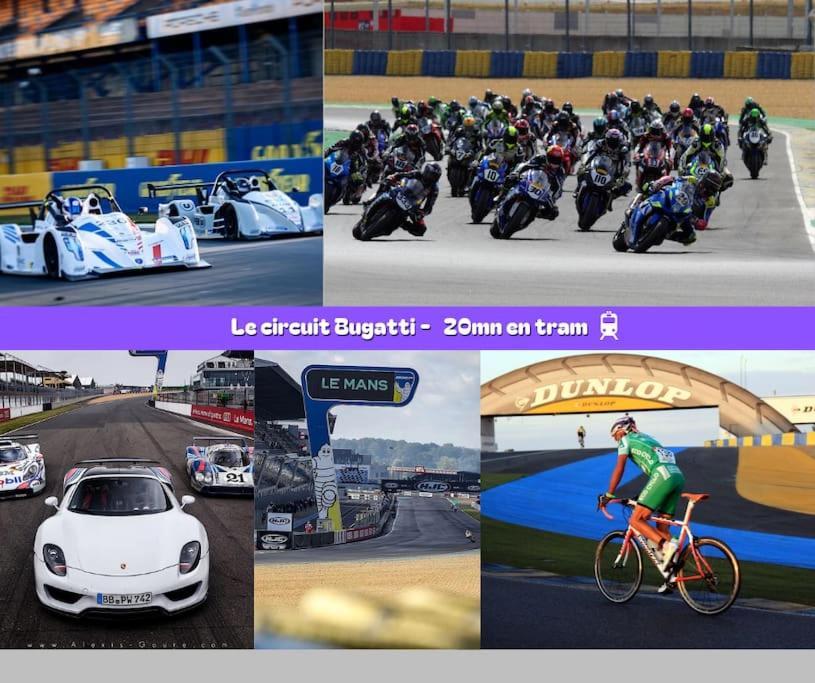Flexy - T2 - L' Agate Grise - Le Mans Exterior foto